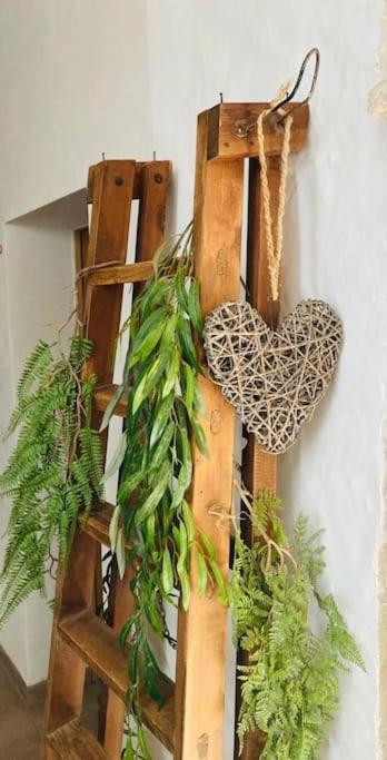 Ses Cases Noves Holiday home *