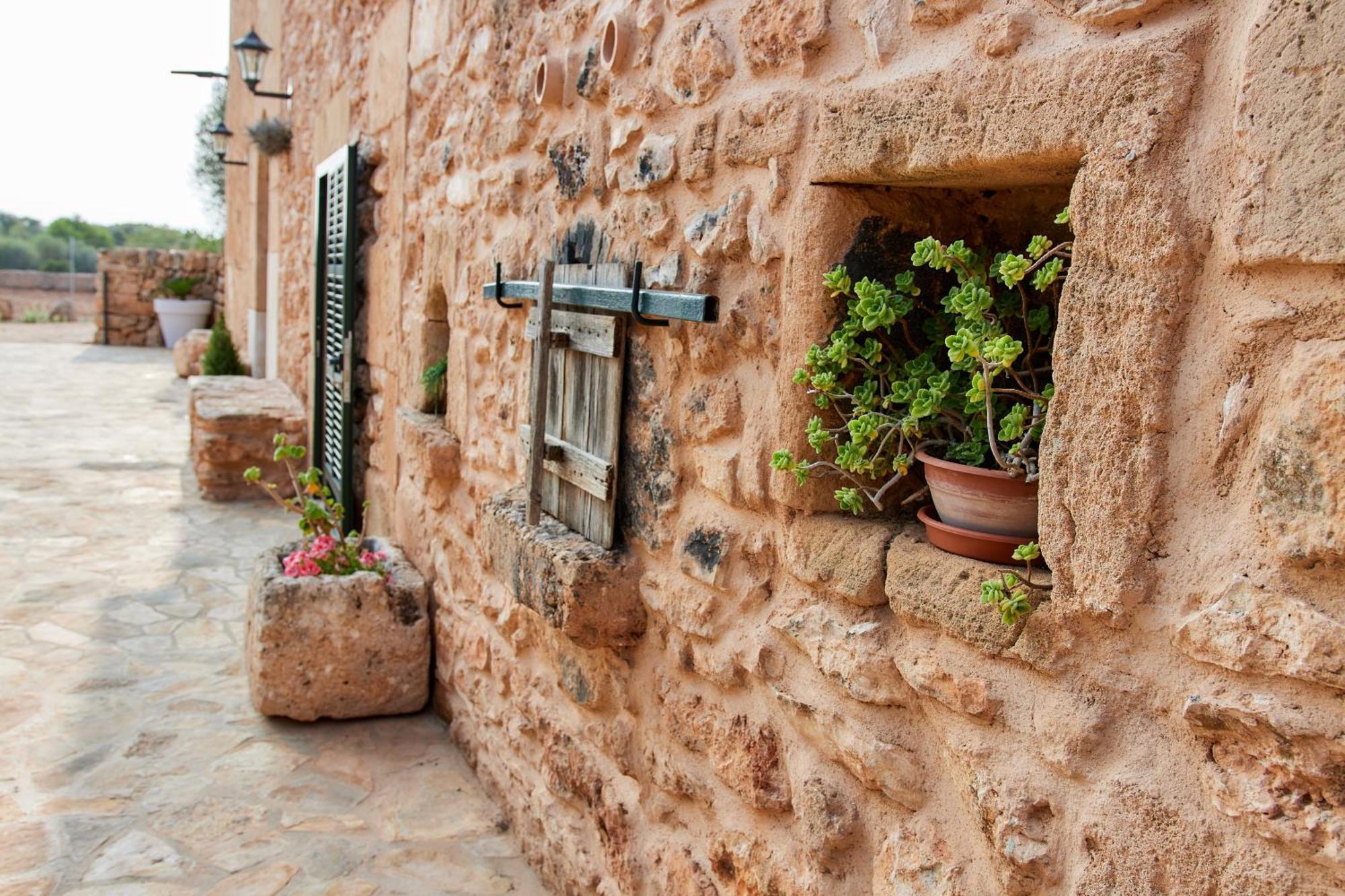 Ses Cases Noves Holiday home *